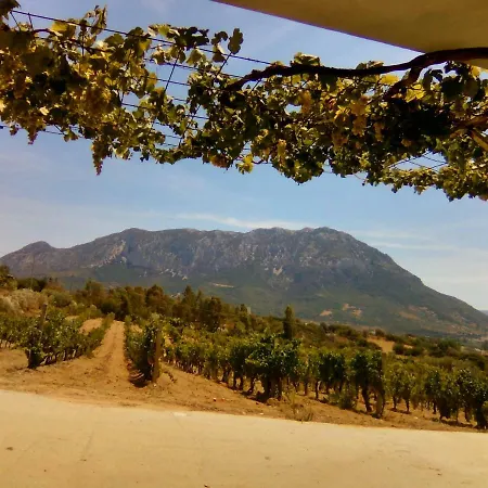 Punteri Gasthuis Loculi