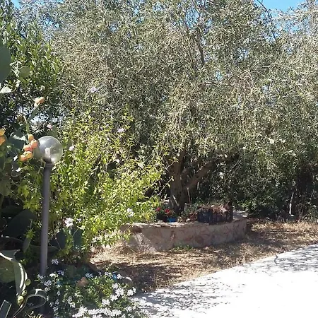 Punteri Loculi
