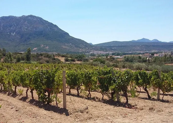 Affittacamere Punteri